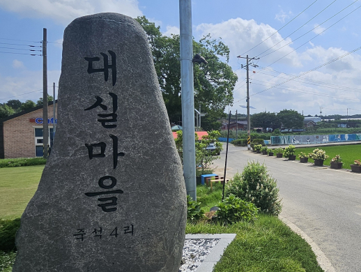 오리보트체험장에 정박해있는 오리배
