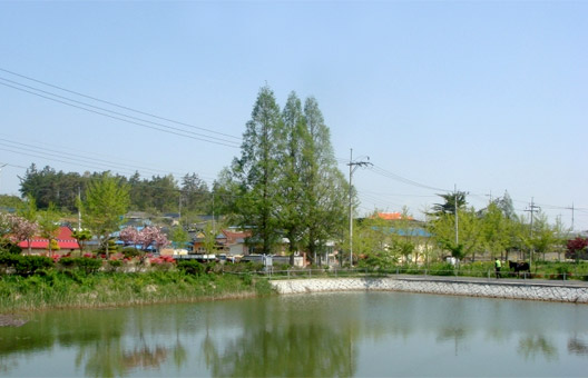 세지화탑마을 전경