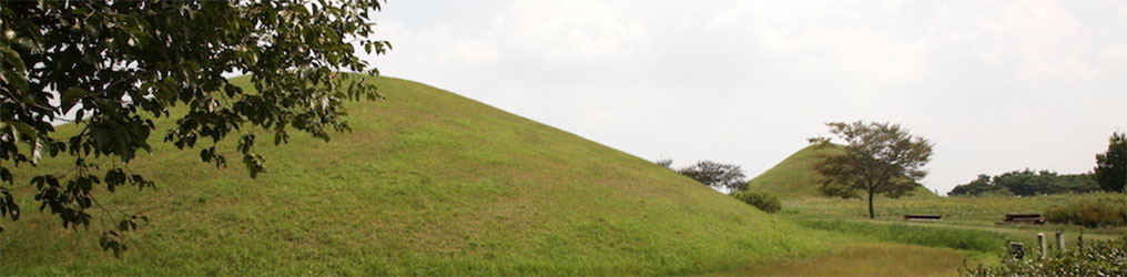 Ancient Tombs of Naju