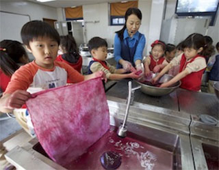 Natural Dyeing Experience