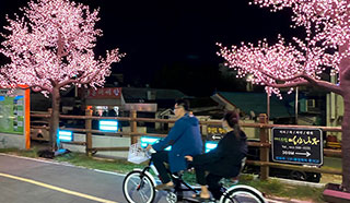 2022 영산포 주말나이트마켓