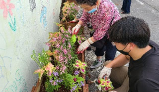 정원에 꽃을 심는 있는 모습