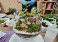 2022년 하반기 프로그램 운영사진-원예힐링 테라리움과 다육아트