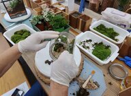 2022년 하반기 프로그램 운영사진-원예힐링 테라리움과 다육아트