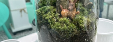 직장인! 퇴근 후 특별한 만남(3차) - 사슴이 노니는 풍경 테라리움