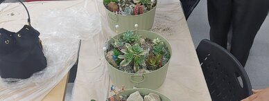 2023년 직장인! 퇴근 후 특별한 만남(1차)-따스한 봄의 다육정원 만들기