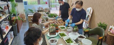 2022년 하반기 프로그램 운영사진-원예힐링 테라리움과 다육아트