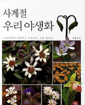 사계절 우리 야생화 : 우리나라에 자생하는 산야초의 종합 지침서