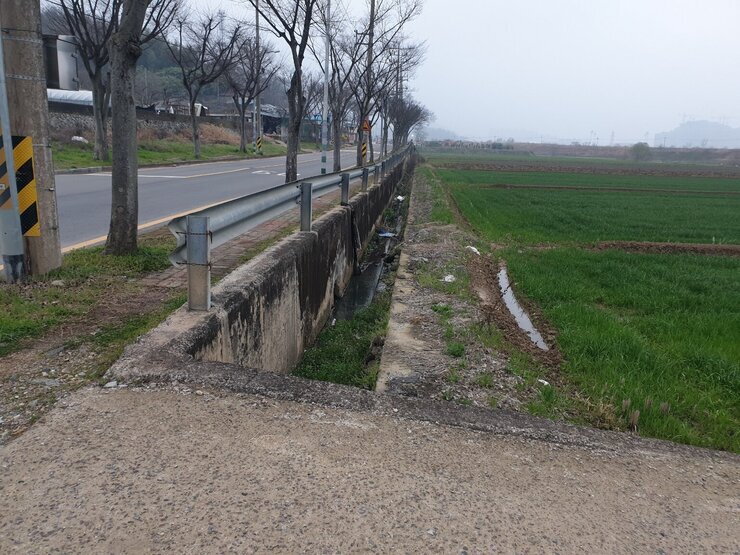 농로길 1사진입니다 너무 좁아 다닐수 없습니다
