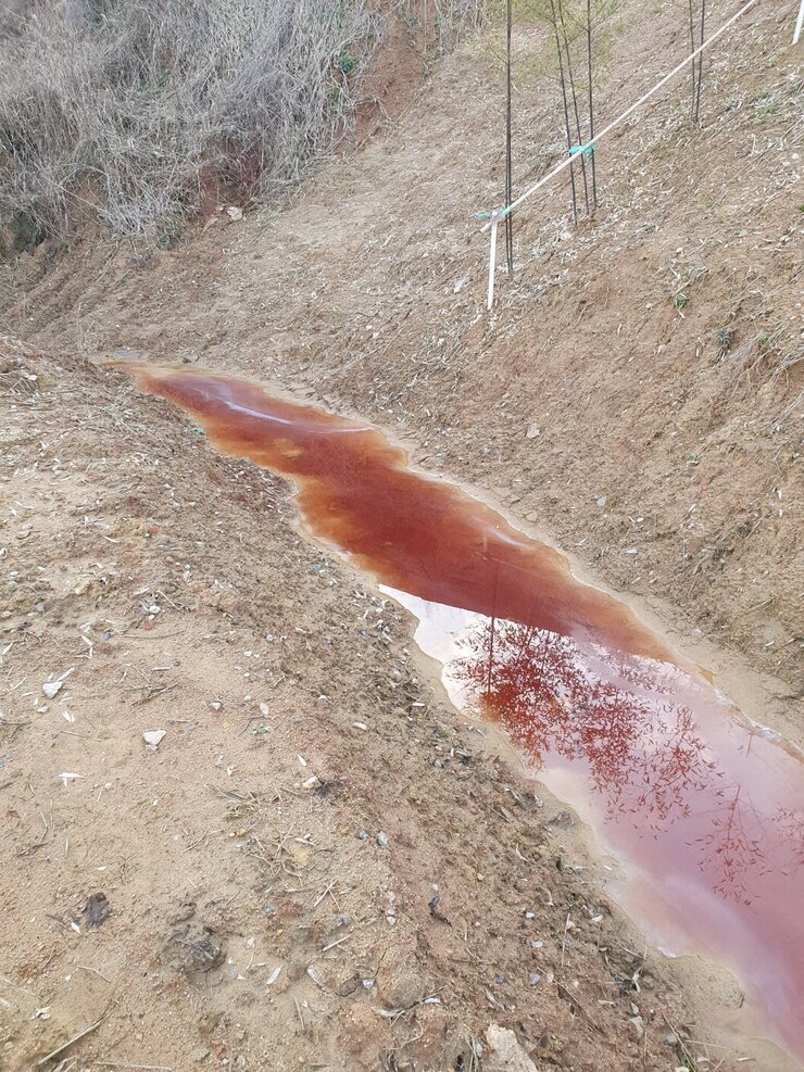 흙폐기물과 빗물이 섞여서 악취가 나는상황