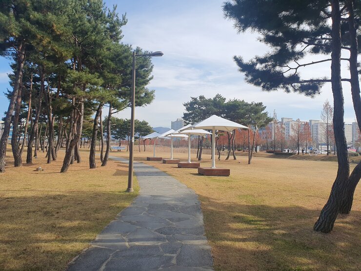 빛가람 전망대 하부의 잔디광장 모습입니다. 여기처럼만 되도 좋을 것 같습니다.