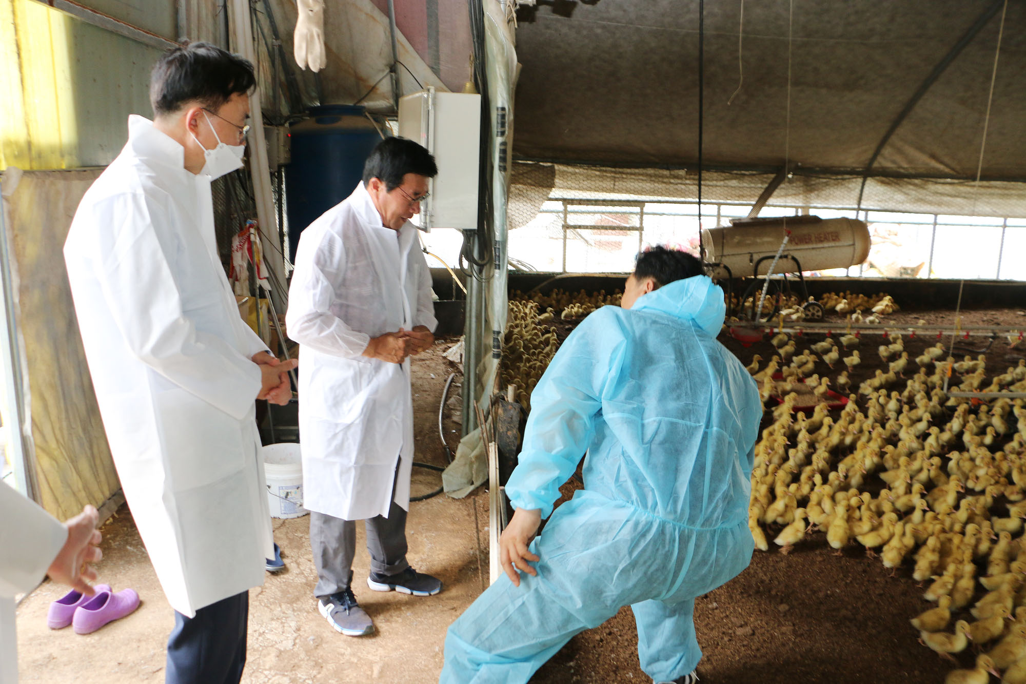 동강면 무더위쉼터, 오리농장 폭염대비 현장방문