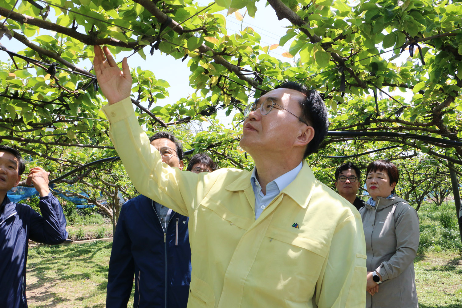 배과수농가 냉해피해 현장 방문 나주시장이 배 나무 가지에 손을 대며 바라보고 있는 모습