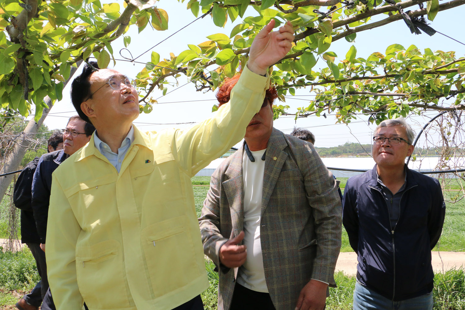 배과수농가 냉해피해 현장 방문 나주시장이 배나무의 열매를 손으로 가리키며 바라보고 있는 모습