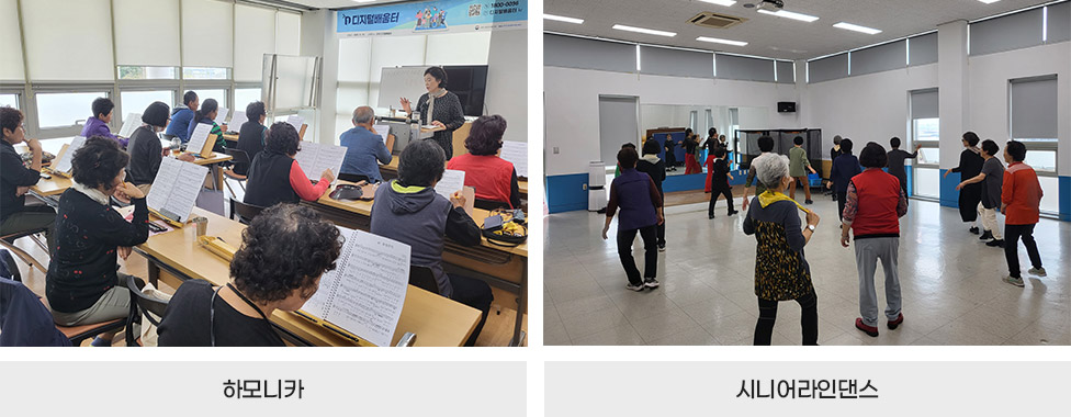 하모니카, 시니어라인댄스