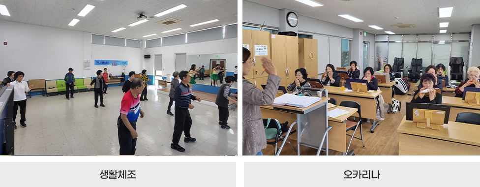 생활체조, 오카리나