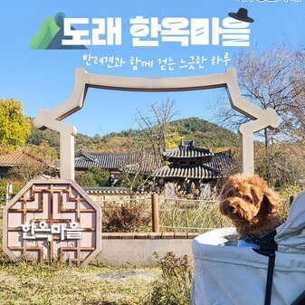 기와지붕이 이어지는 마을, 나주 도래 한옥마을