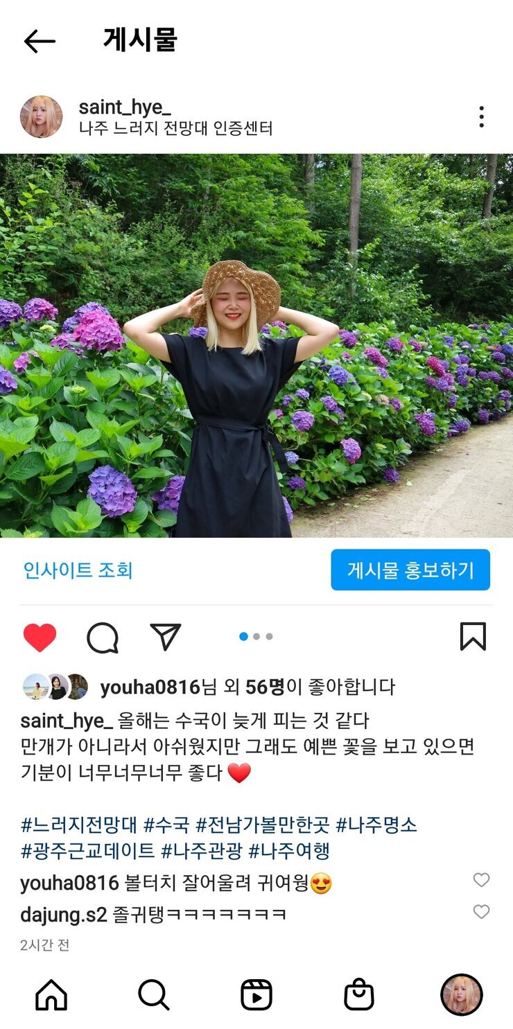 나주 느러지전망대 수국길