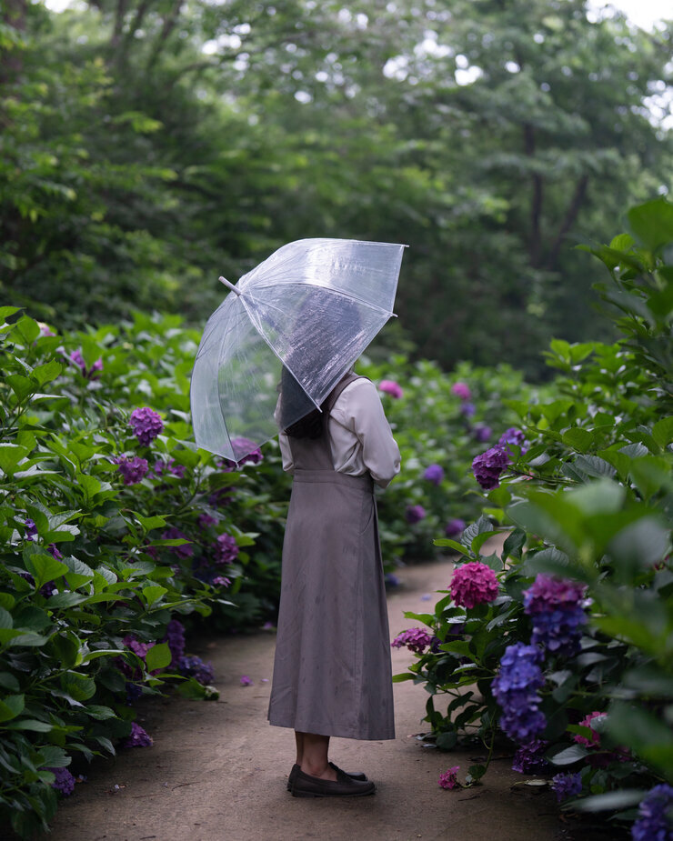 나주 느러지전망대 수국길