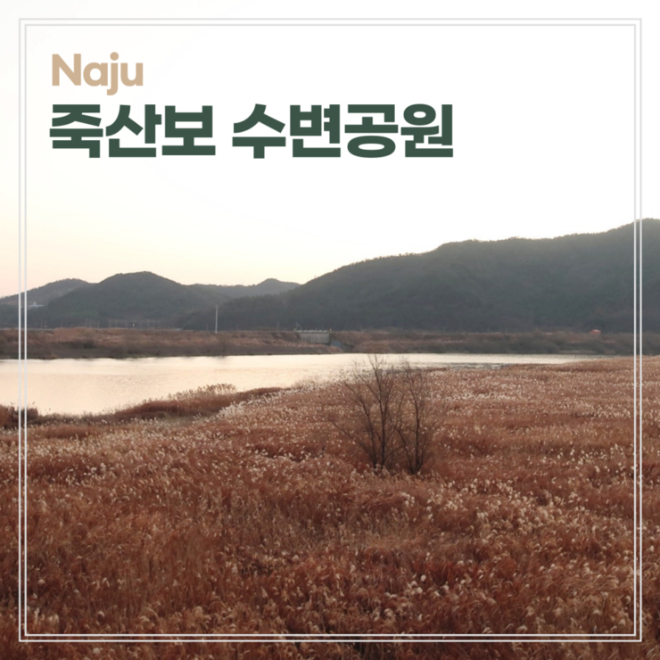 죽산 수변공원은 죽산보 오토 캠핑장 바로 앞 영산강쪽에 위치해있고 영산강4경에 속하는 곳이라 야외공연장도 있고, 통합관리센터도 있는 나주의 관광지이다.