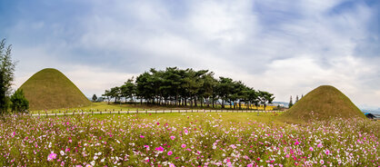 (장려상) 반남고분군과 소나무숲_김회정