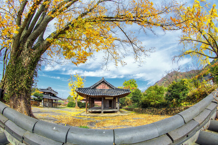 (입선) 양벽정의 가을_김흥수