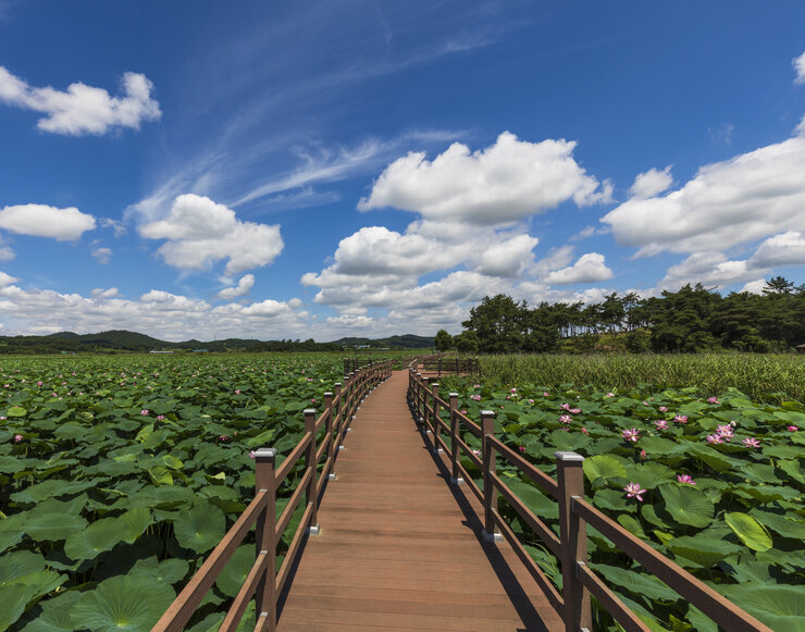 (입선) 우습제 풍경_조정규