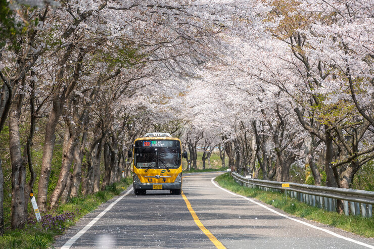 (입선) 봄이오는길_정백호