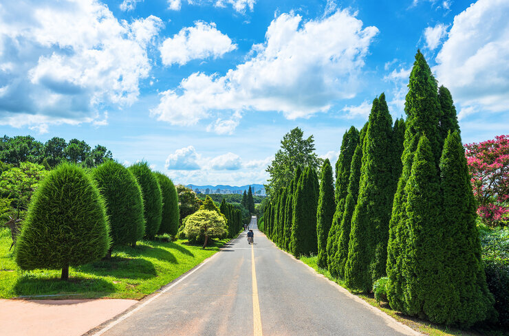 [일반-입선] 아름다운 산책길-오정균