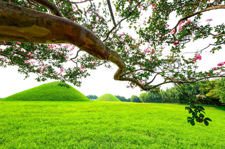 [일반-입선] 배롱나무의 그리움-정용석