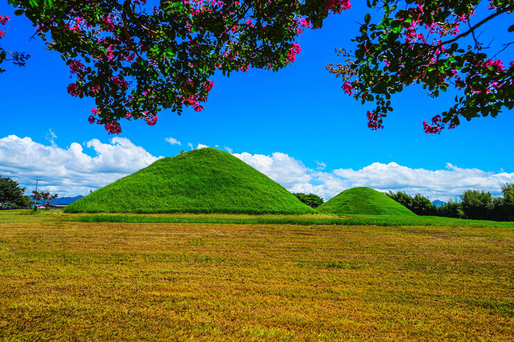 [일반-장려상] 반남고분에 반하다-고현찬