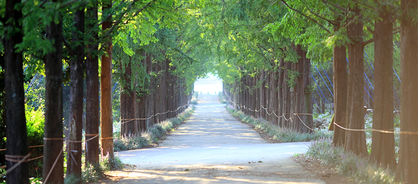 산림자원연구소
