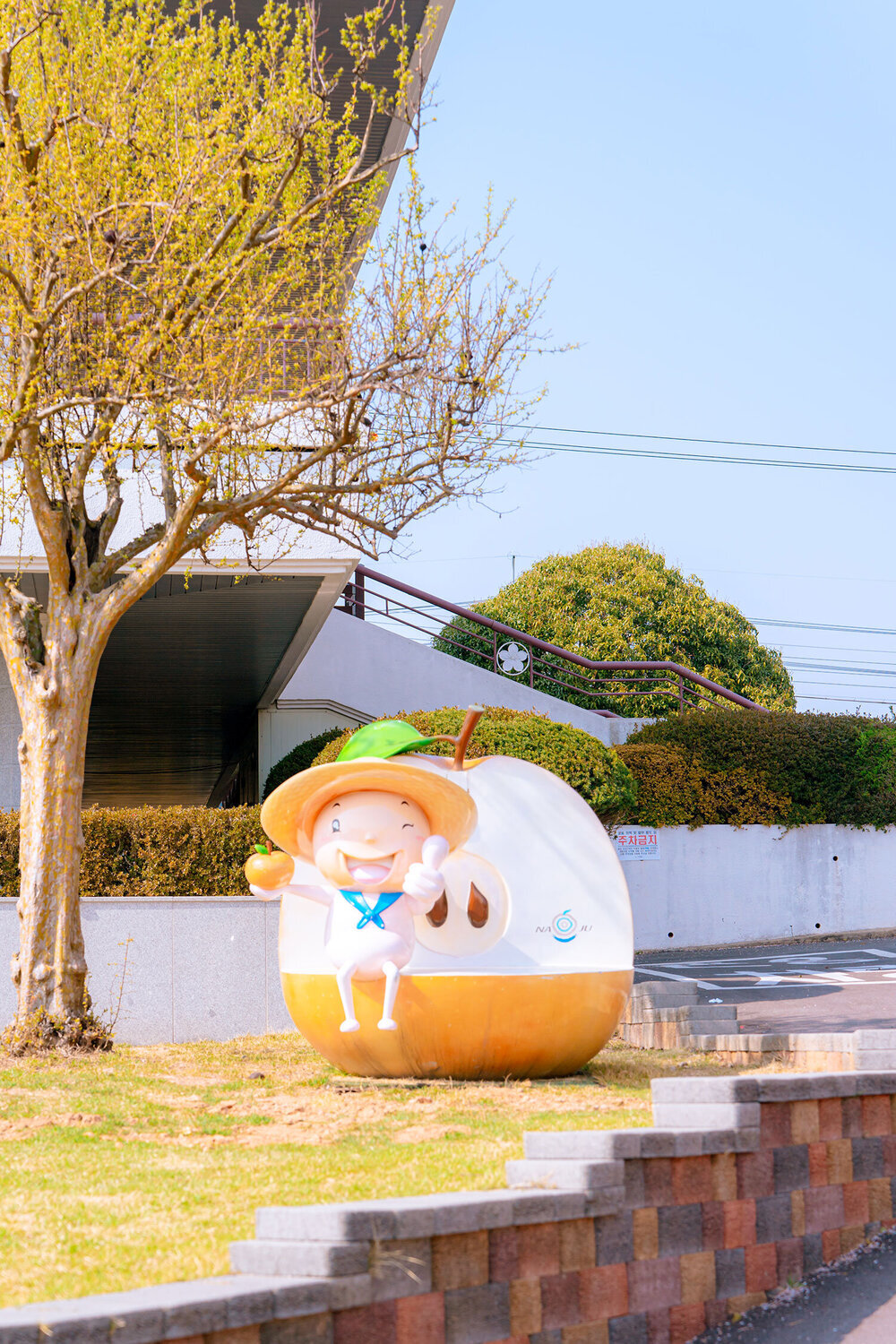 나주 배박물관