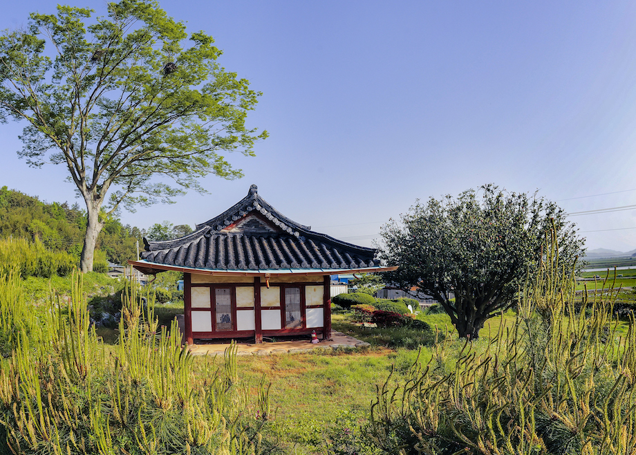 금사정과 동백나무