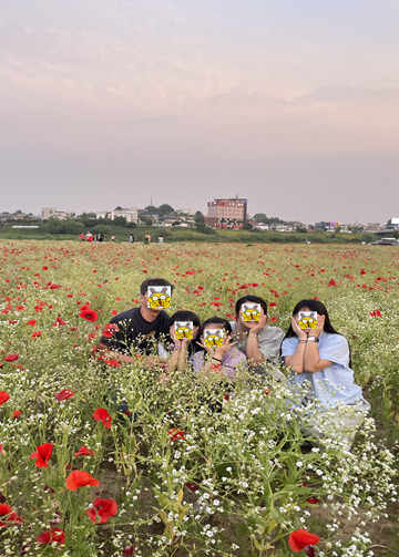 양귀비꽃밭.png