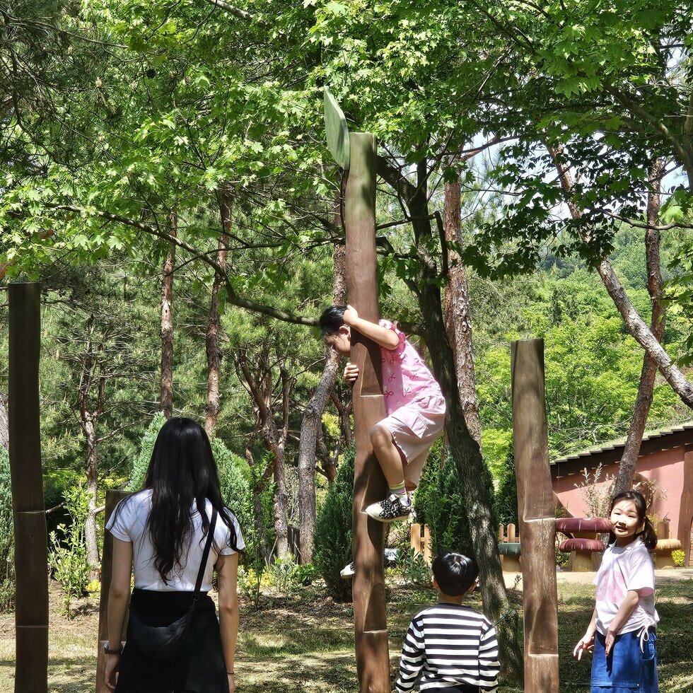 신나는 나무올라가기 체험