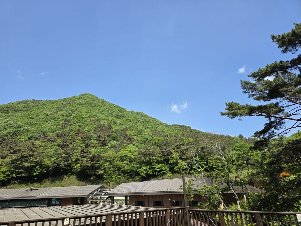 나주 숲체원