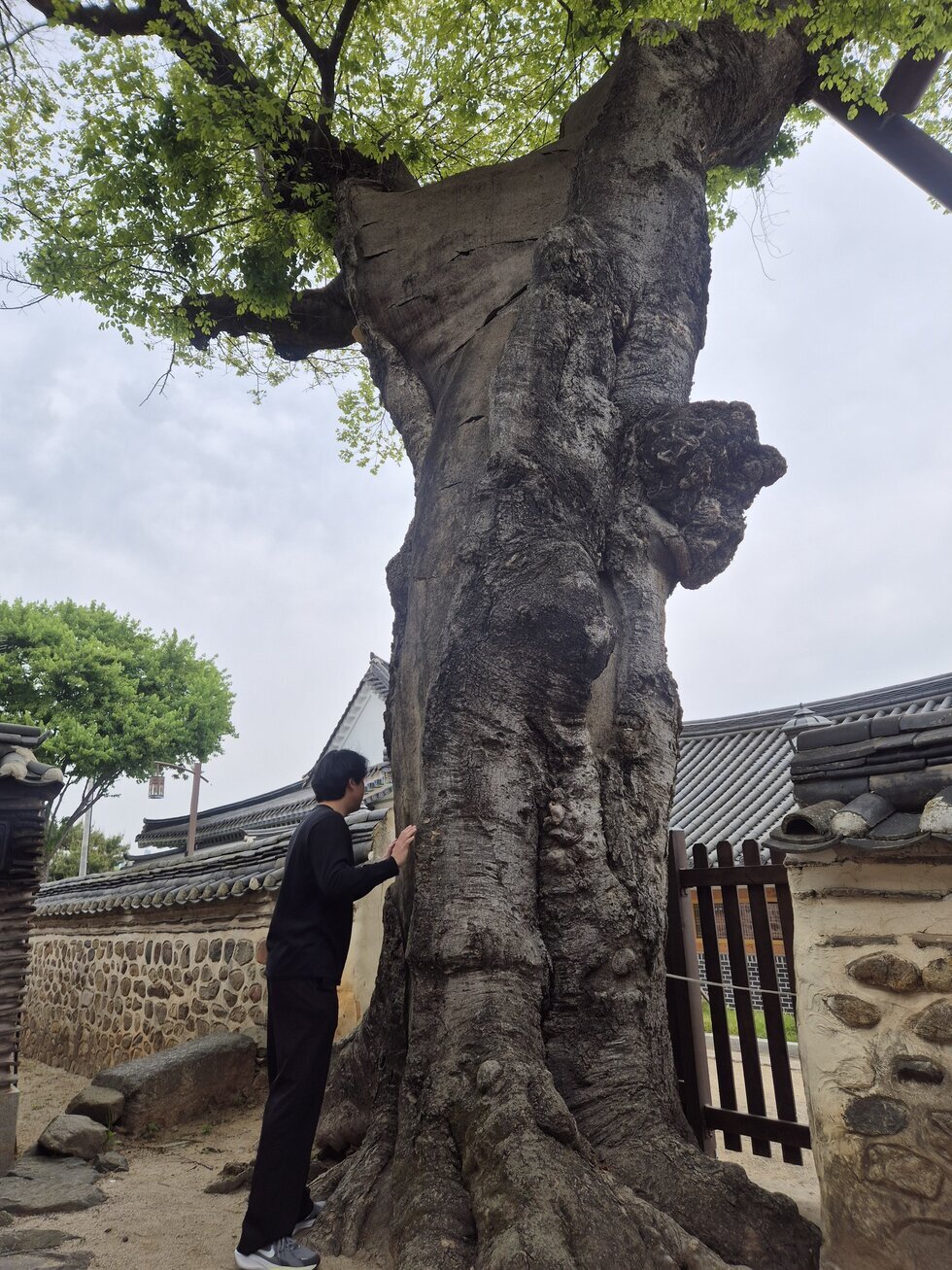 여행사진