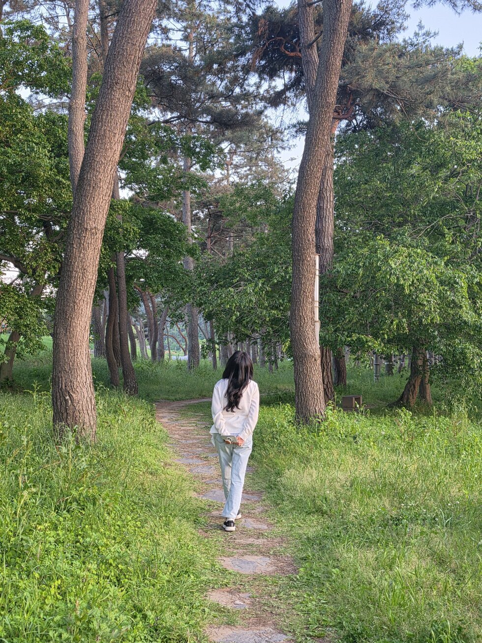 산림자원연구소. 예쁜길