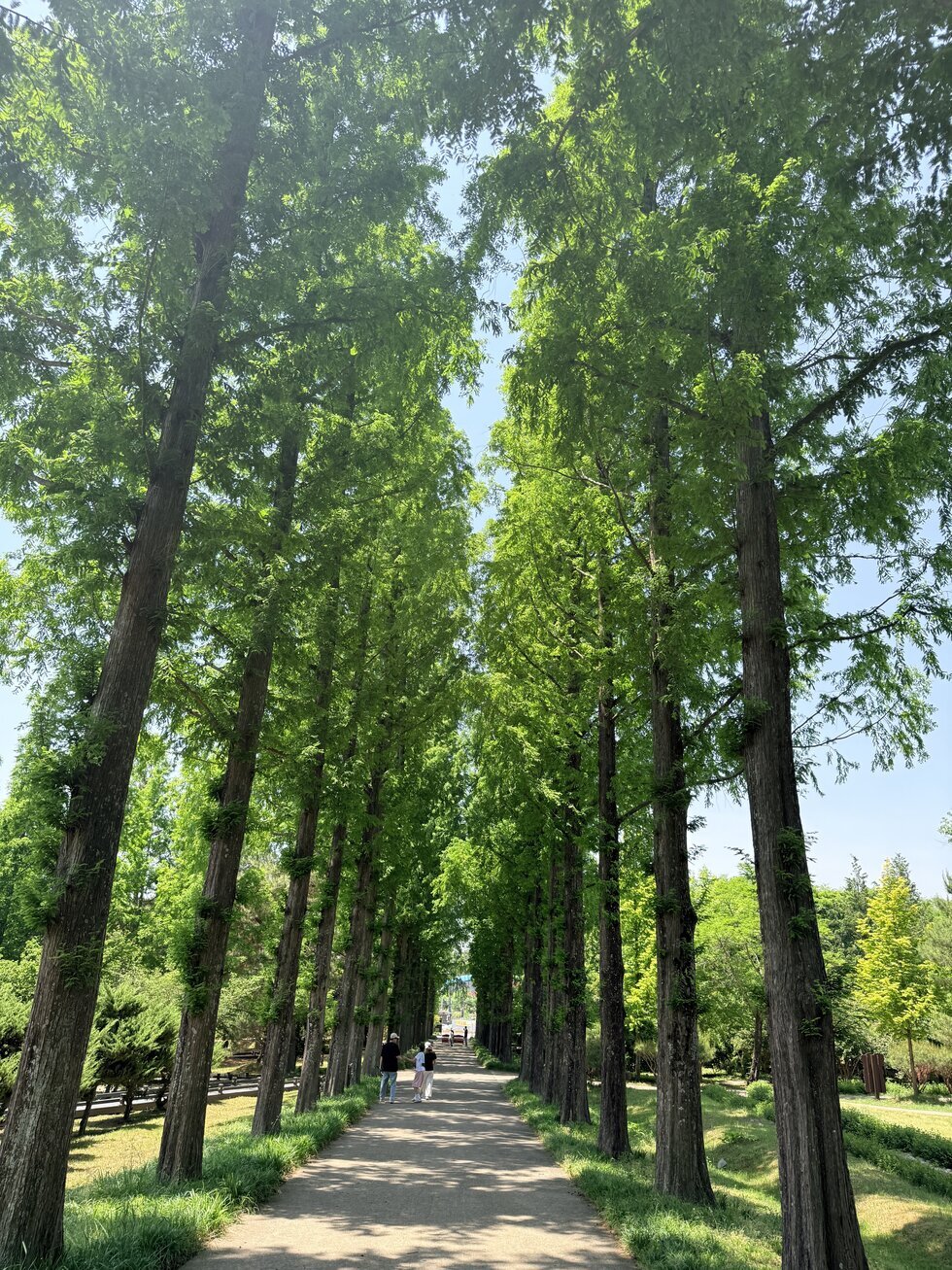전라남도산림연구원