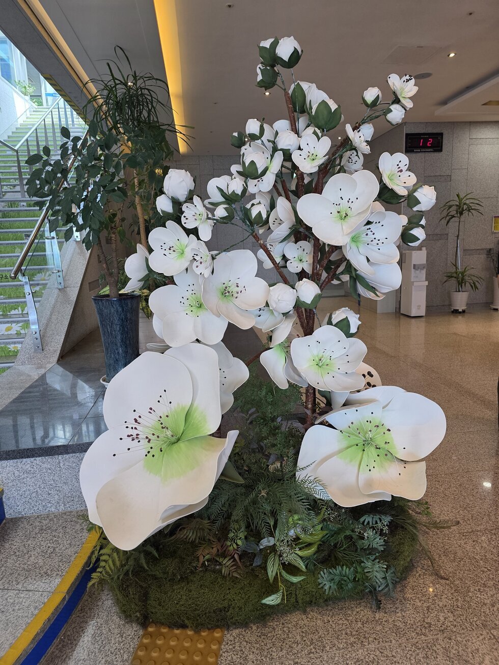 빛가람