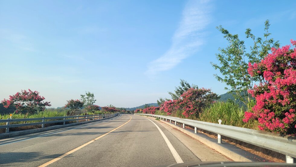 KakaoTalk_20260804_074243196.jpg