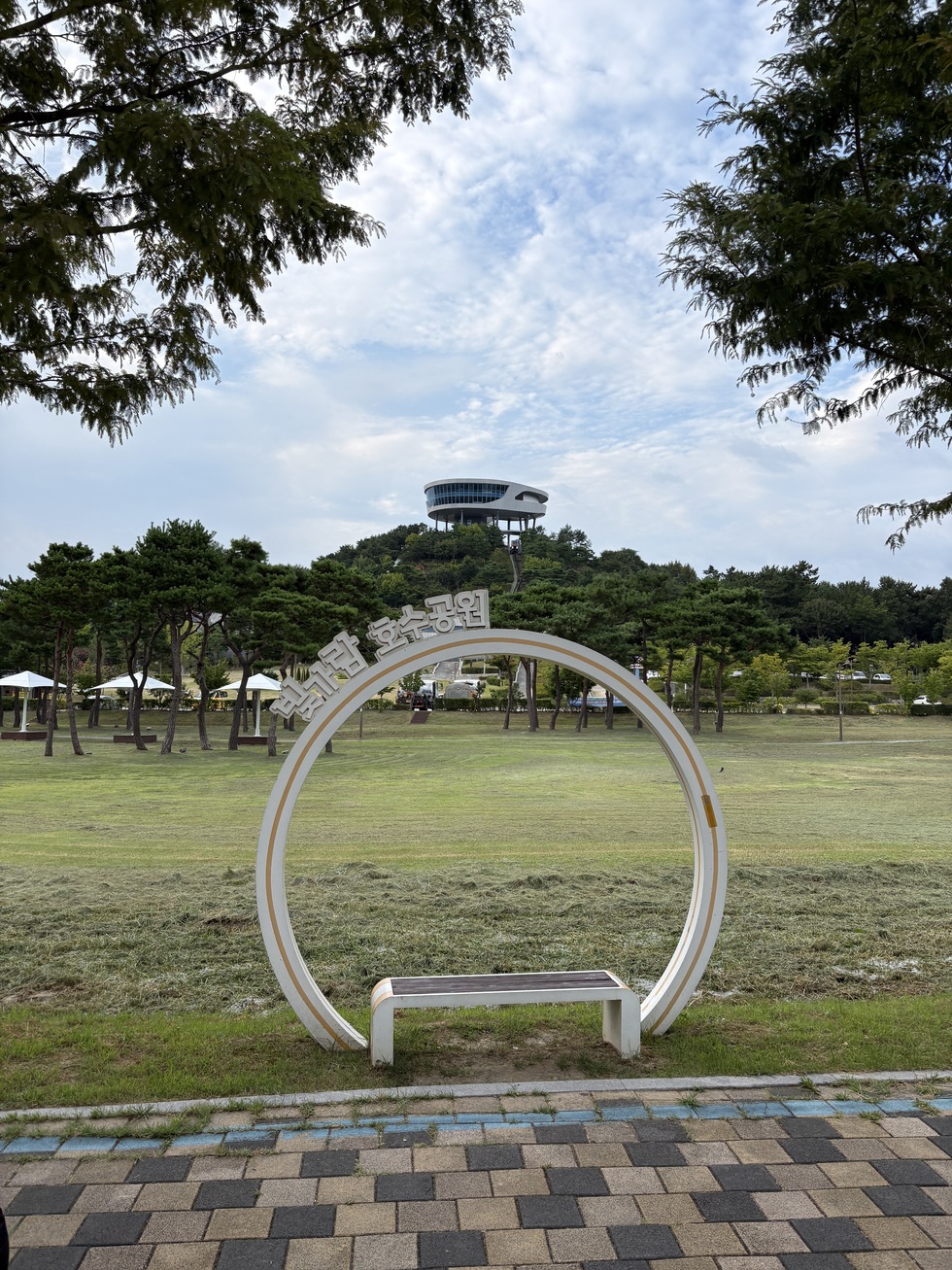 IMG_5351.jpeg