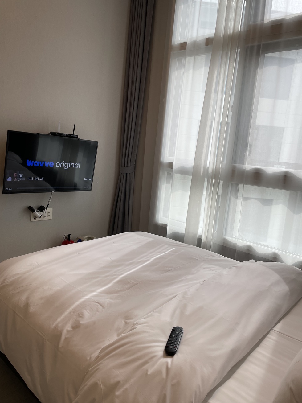 IMG_1572.jpeg