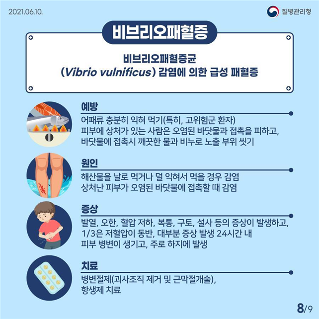 비브리오패혈증 카드뉴스