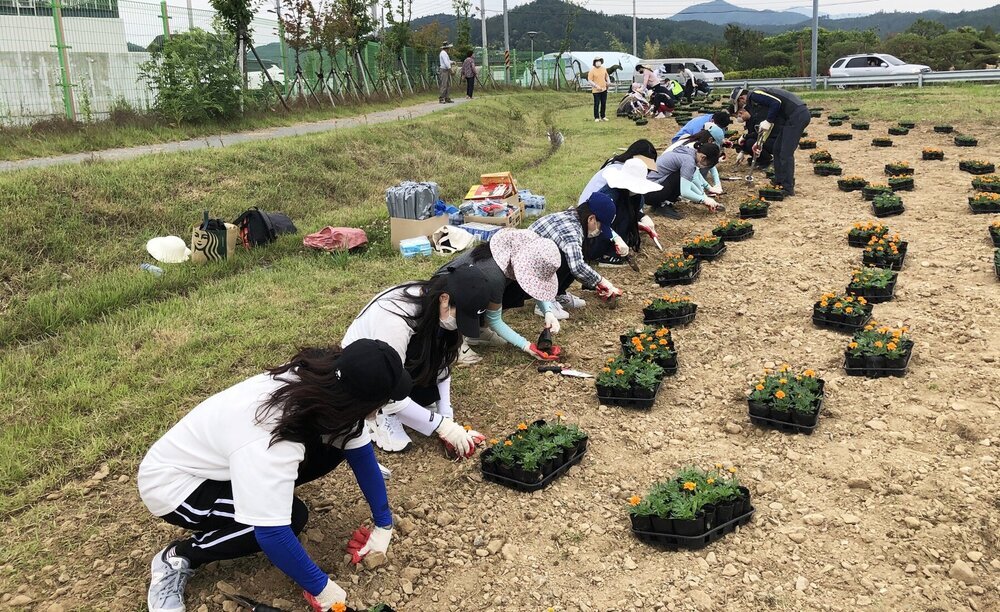 나주 혁신도시 이전 공공기관 '농기평', '콘직원' 임직원들의 꽃 식재 작업 모습