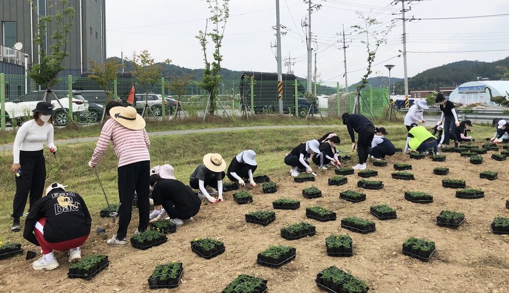 나주 혁신도시 이전 공공기관 '농기평', '콘직원' 임직원들의 꽃 식재 작업 모습