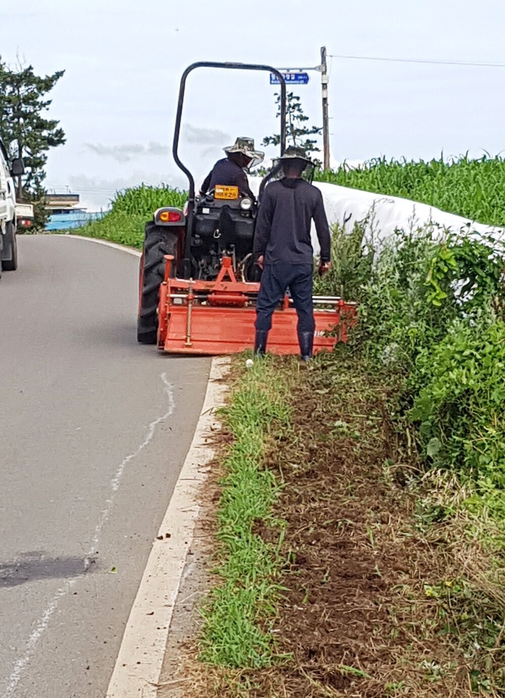 나주 왕곡면 청년회, 코스모스 길 조성