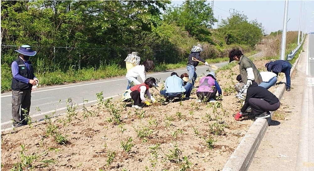 나주 다시면, 민관이 함께하는 꽃길조성