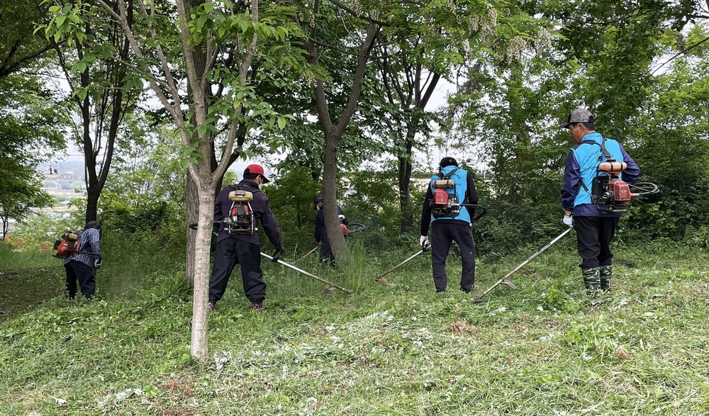 나주 반남면 노인회분회, 자미산 등산로 환경정비